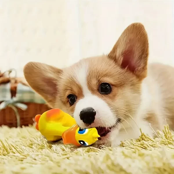 3pcs/1pc Squeaky Chicken Dog Toy-Durable Rubber Duck Chew Toys, with Screaming Sound, Bite-resistant and Grinding Teeth, Suitable for All Breeds of Interactive Pet Play - 图片 4