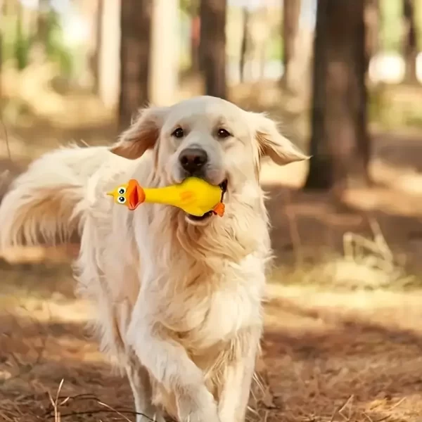 3pcs/1pc Squeaky Chicken Dog Toy-Durable Rubber Duck Chew Toys, with Screaming Sound, Bite-resistant and Grinding Teeth, Suitable for All Breeds of Interactive Pet Play - 图片 3