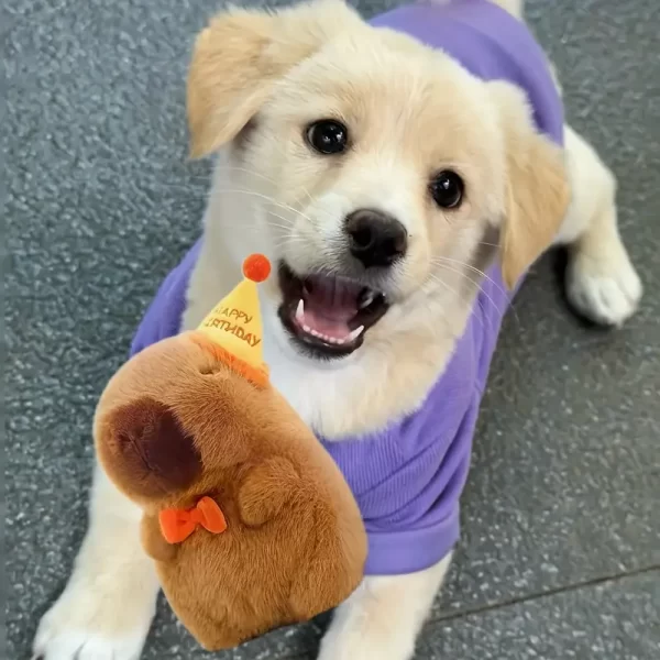 [Cheerful Look] Adorable Capybara Plush Toy with Party Hat & Bow Tie – Soft Stuffed Animal for All Dog Breeds, Perfect Indoor Play Companion, Brown Cartoon Design for Puppies and Dogs - 图片 6